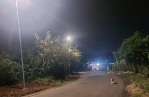 sresky solar street light SSL 98 4 Mauritius