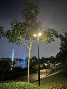 229133172229155173sll 12n1 188psc 7