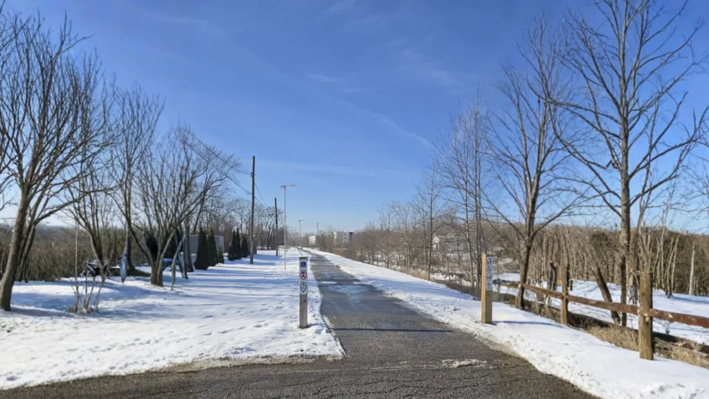 1-19canadian-239188140ssl-34a-4 1 19canadian 239188140ssl 34a 4