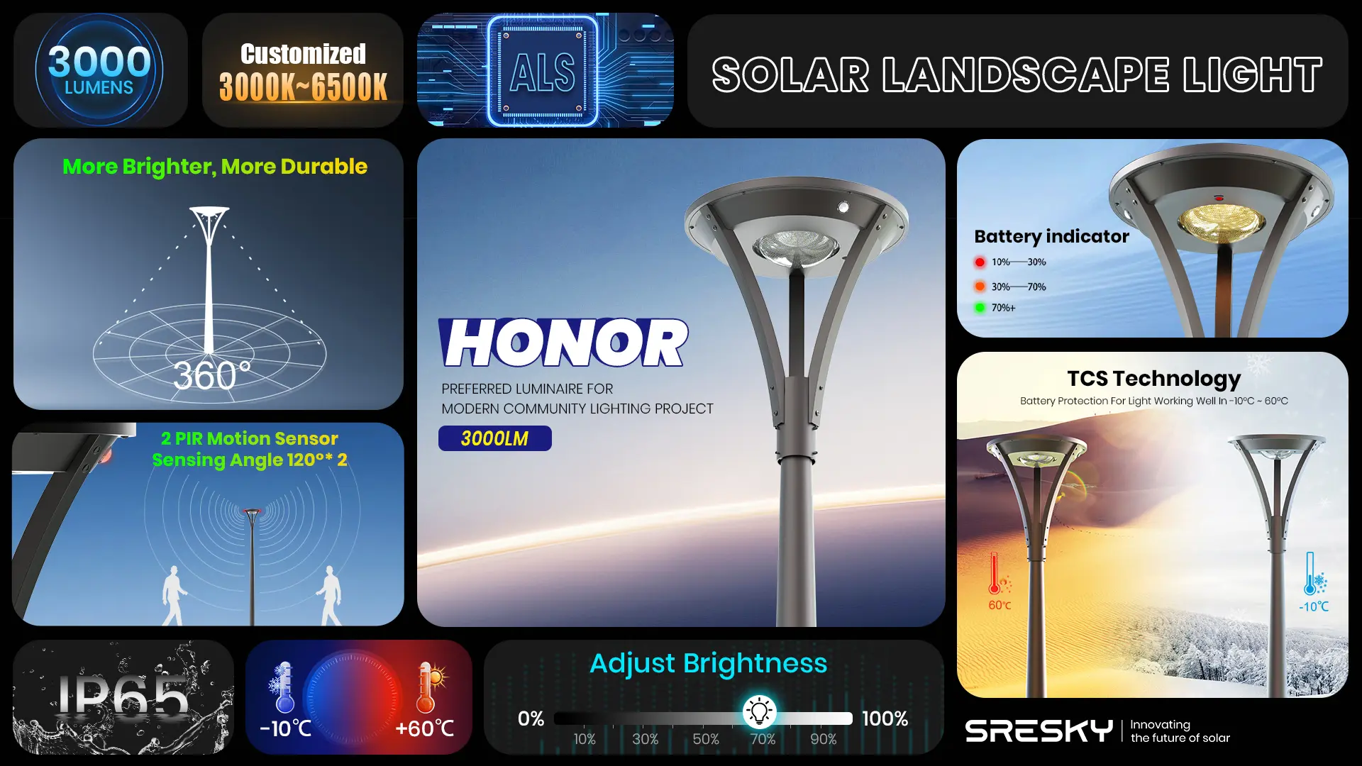 SLL31 featured highlights