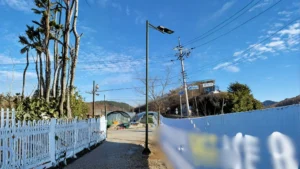 Solar Street Light Project in a Korea Landscape Showroom SSL 96 1