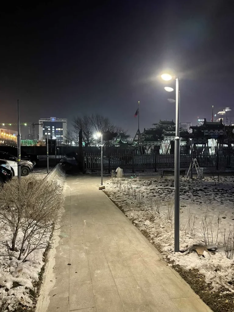 sresky Solar Street Lights in Mongolia 4
