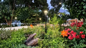 sll 31 Solar Street Light Solution for Singapore Villas 1