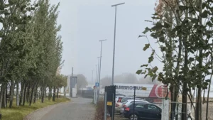 SRESKY Solar Street Lights Parking Project in Netherlands