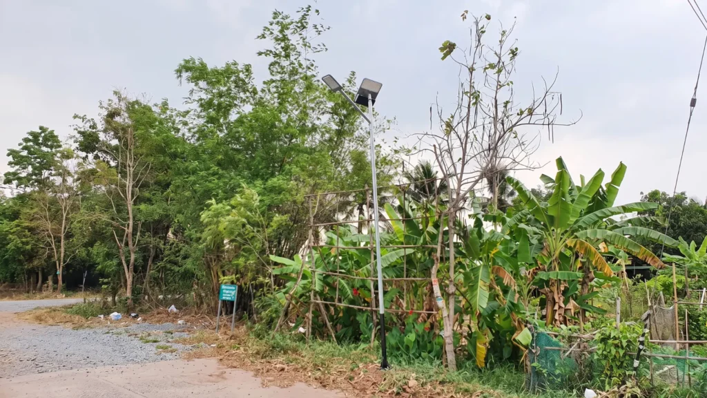 Thailand’s Agricultural Road Modular Solar Streetlight Project (2) Thailands Agricultural Road Modular Solar Streetlight Project 2