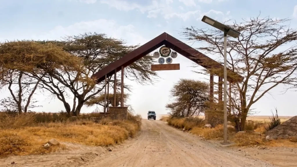 Tanzania Border Corridor Solar Streetlight Project