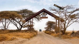 Tanzania Border Corridor Solar Streetlight Project