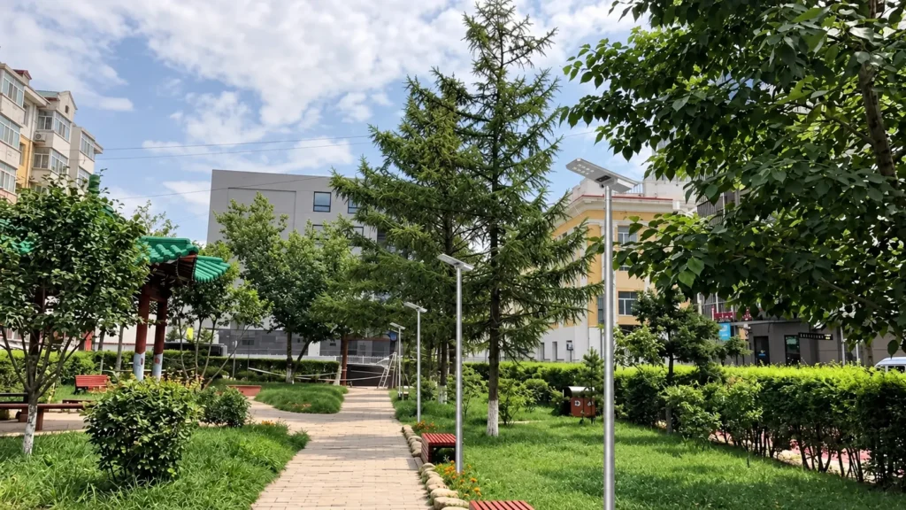 Case Study Solar Street Lights in Mongolias High Altitude Cold Regions—How to Cope with Extreme Cold Low Sunlight and Dust 2